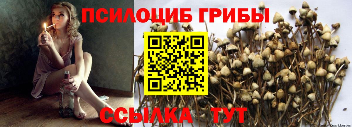 Галлюциногенные грибы прущие грибы Нерюнгри