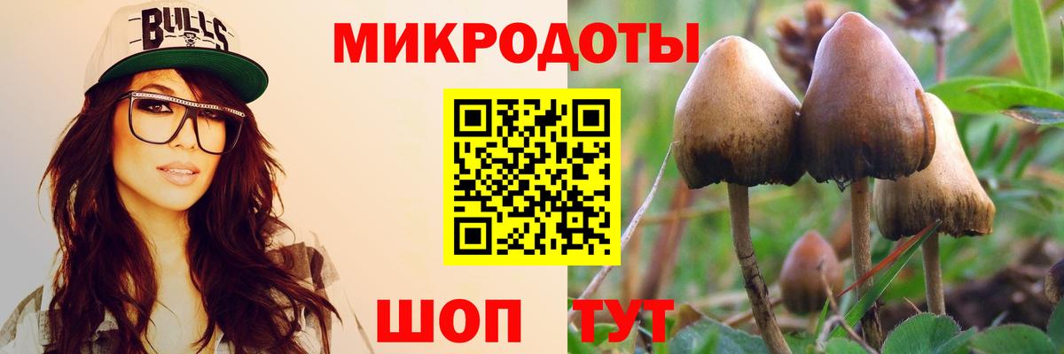 Нерюнгри  где можно купить наркотик  Псилоцибиновые грибы Magic Shrooms  Вход с VPN  Галлюциногенные грибы Cubensis 